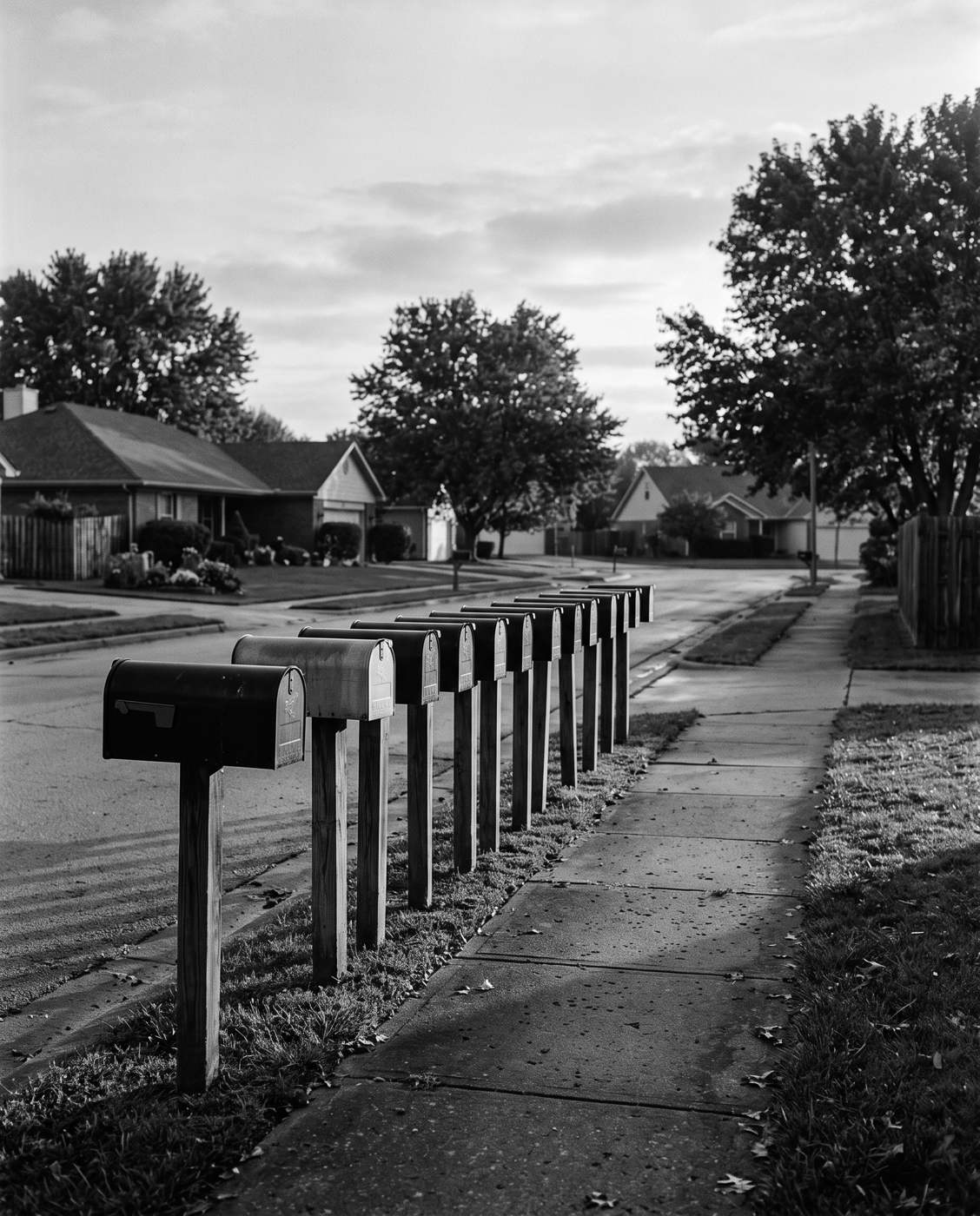 A row of closed mailboxes in a suburb at dawn
